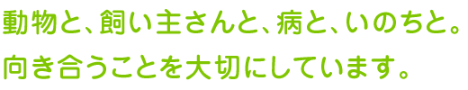 動物と、飼い主さんと、病と、いのちと。向き合うことを大切にしています。