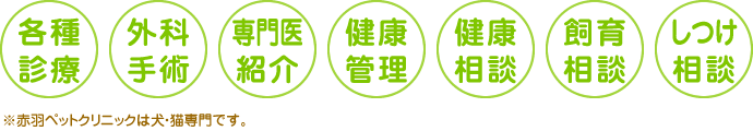 診療・手術・専門医紹介・健康・飼育・しつけ