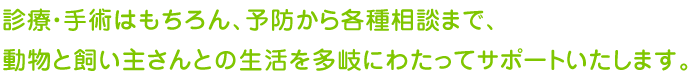 診療・手術はもちろん、予防から各種相談まで、動物と飼い主さんとの生活を多岐にわたってサポートいたします。