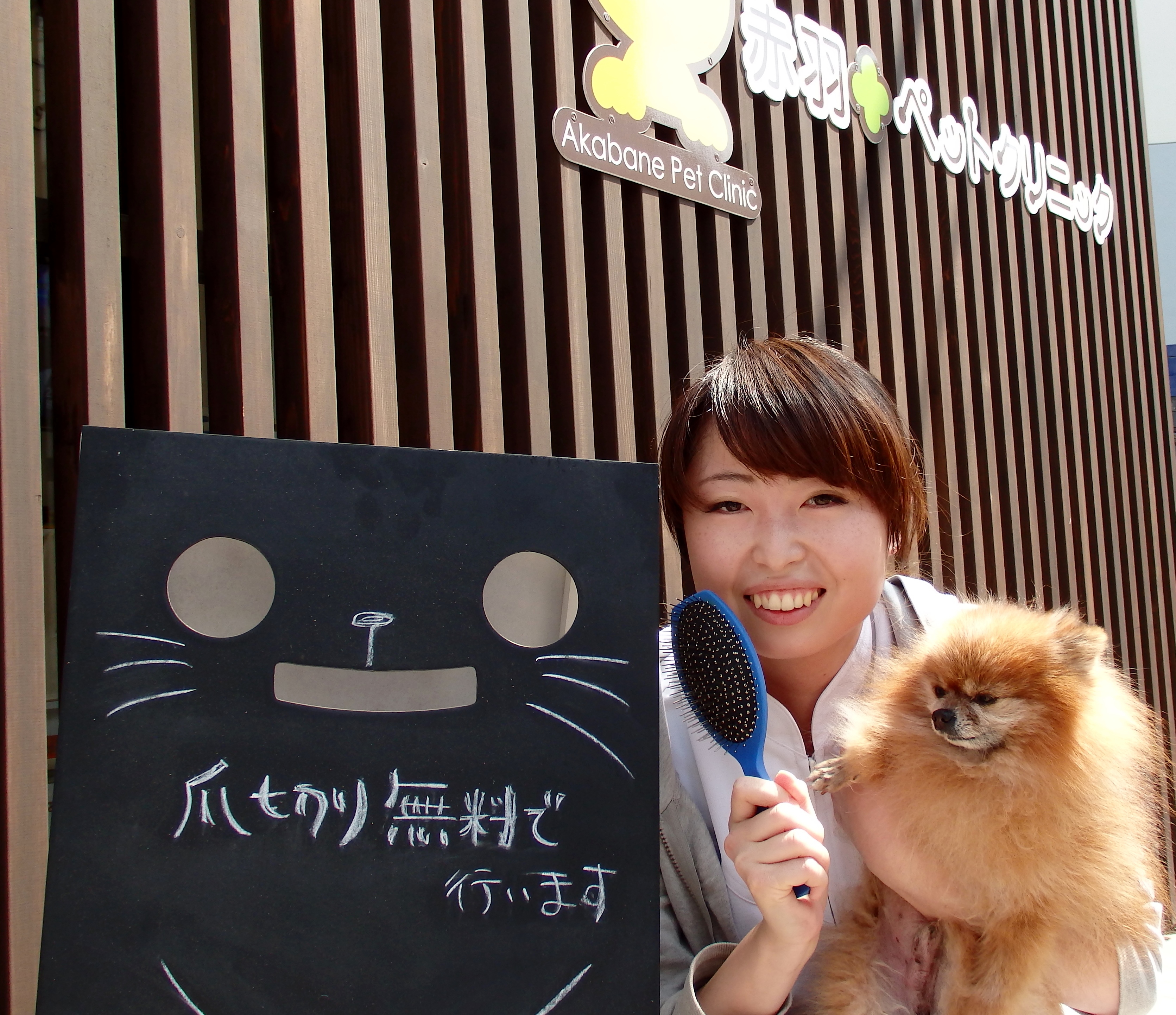 井原 智恵